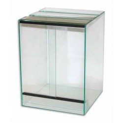 Stakleni terarij 40 x 40 x 60 cm