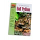 The guide to owning a Ball Python