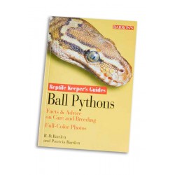 Ball Pythons