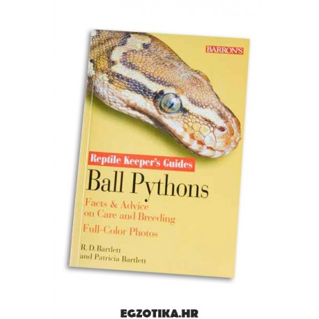 Ball Pythons