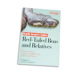 Red-Tailed Boas and Relatives