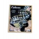 Pythons