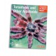Tarantulas a Other Arachnids