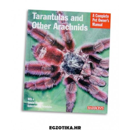Tarantulas a Other Arachnids