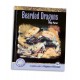 Bearded Dragons