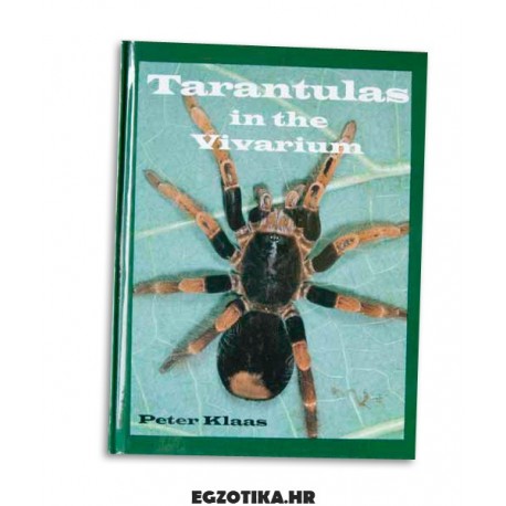 Tarantulas in the Vivarium