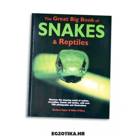 The Great Big Book of Snakes & Reptiles