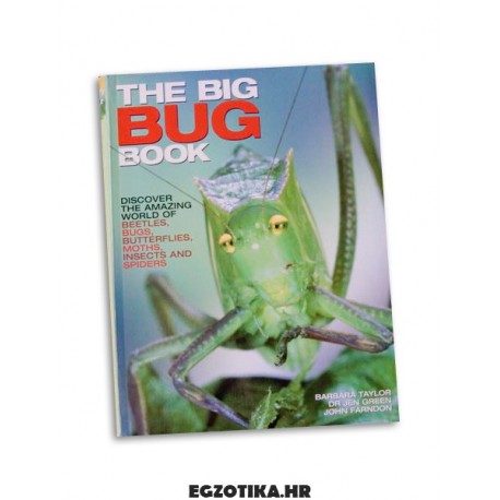 The Big BUG Book