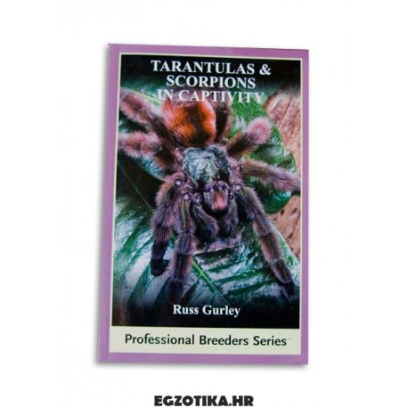 Tarantulas & Scorpions In Captivity