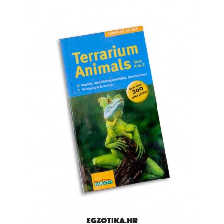 Terrarium Animals from A to Z