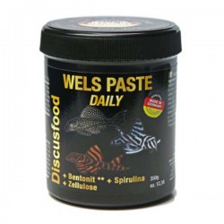 Daily Paste Wels Special