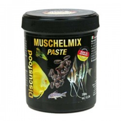 Muschelmix Pasta