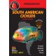 South American Cichlids – Color Pearls