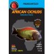 African Cichlids – Spirulina Pearls