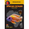 African Cichlids – Color Pearls