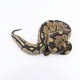 Kraljevski piton - Python regius (normal)