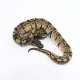 Kraljevski piton - Python regius (normal)