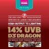 Arcadia T5 D3+ 14% UVB DRAGON LAMP