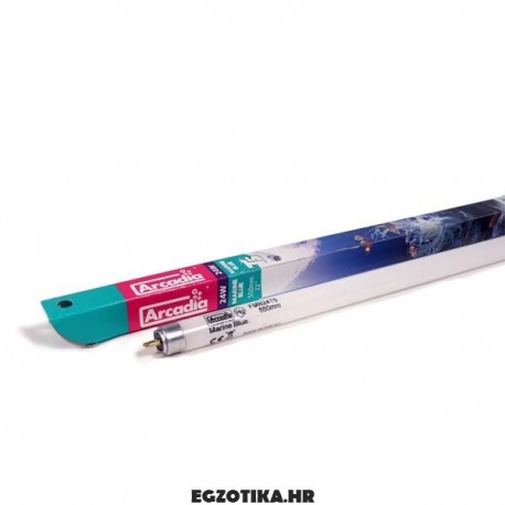 Arcadia T5 Marine Blue