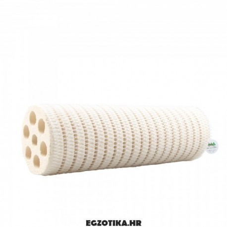 Mountain Tree Bacteria House II