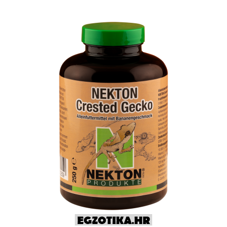 Crested Gecko Breed & Growth with Fig