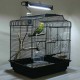 Arcadia PureSun Bird Lamp Kit Mini 8W