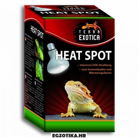 TE Heat Spot 75 W