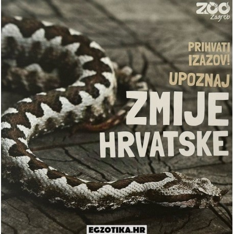 Zmije Hrvatske