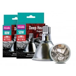 Arcadia	Deep Heat Projector