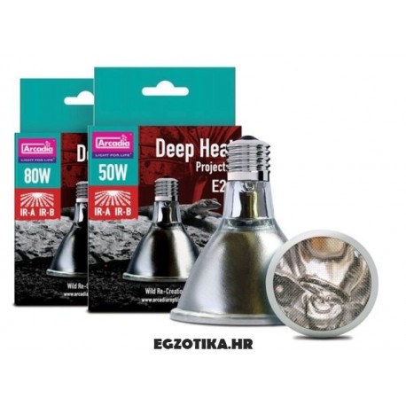 Arcadia	Deep Heat Projector