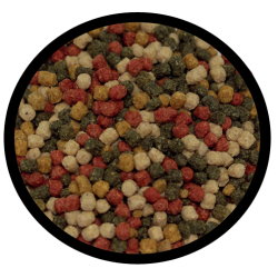 TAKAZUMI QUARTETMIX 12kg