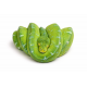 Morelia viridis